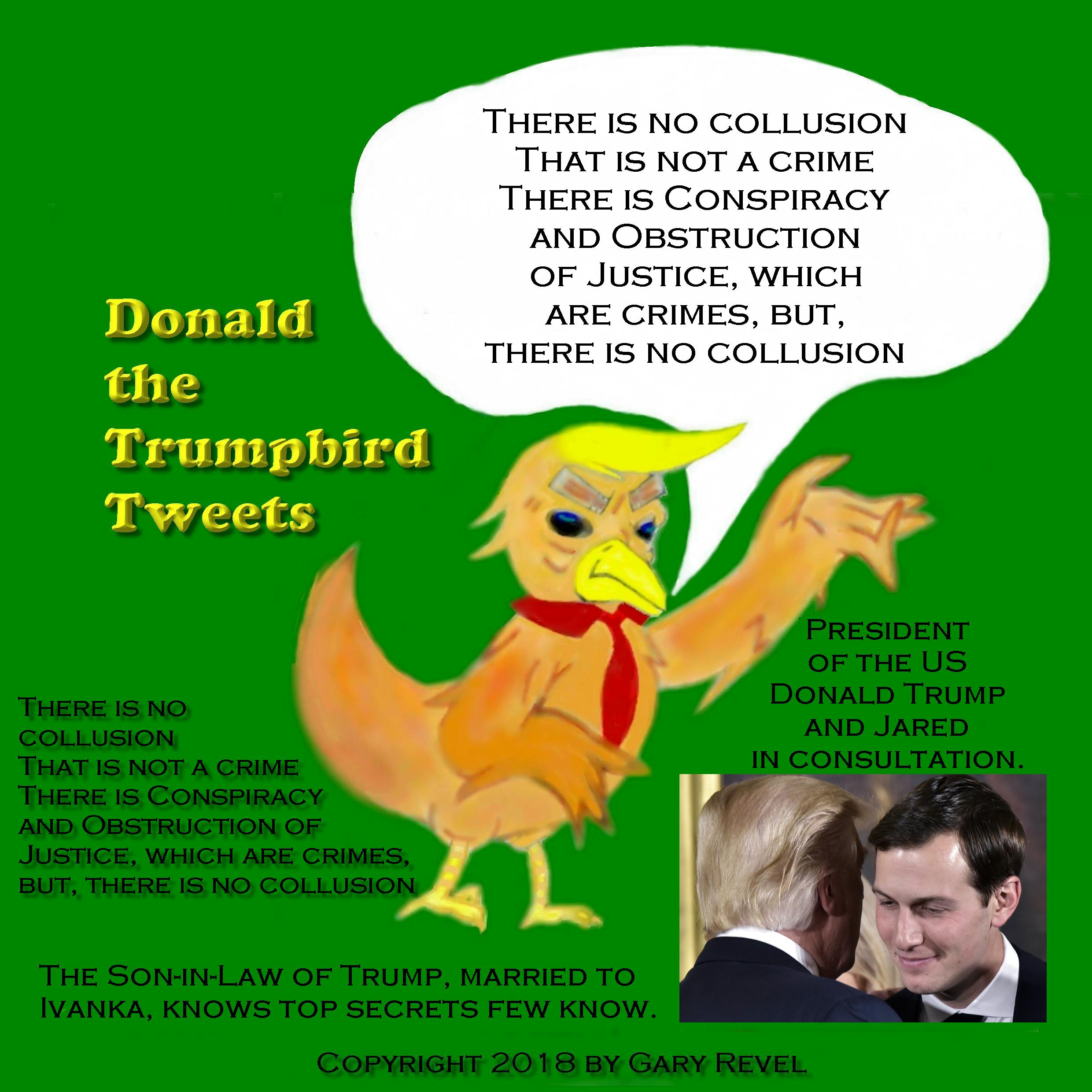 Donald the Trumpbird tweets Jared Kushner 1